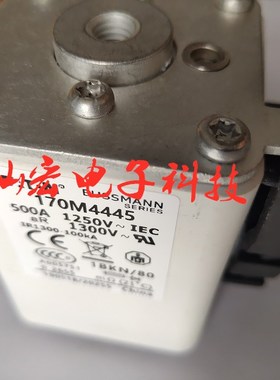 高低压熔断器170M5974 170L3848 170M3073 拍联系库存