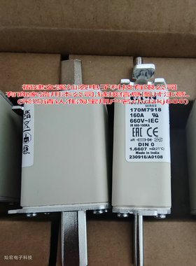 全新原装高压/低压熔断器170M7918 170M6221 170L7016 170M6014