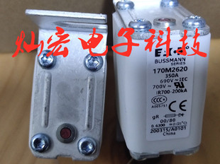 Bussmann巴斯曼快速熔断器170M2620中压熔断器 快速熔断器