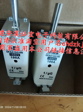 全新 熔断器OFAA00GG10C OFAA00GG125 OFAA0GG6 OFAA0GG10