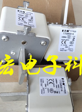 熔断器170M6420 170M6421 170M6458 拍联系