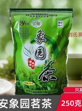 镇安象园茶2026新茶春茶炒青商南茶陕南绿茶镇安茶