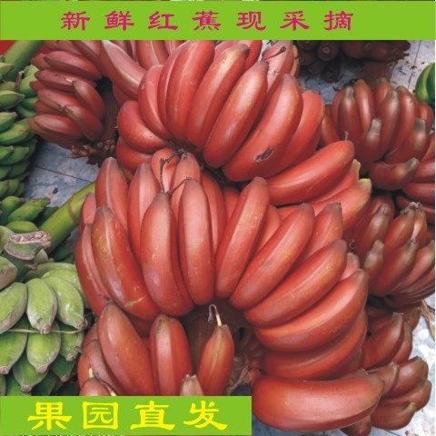 新鲜新鲜水果香蕉红美人红美人