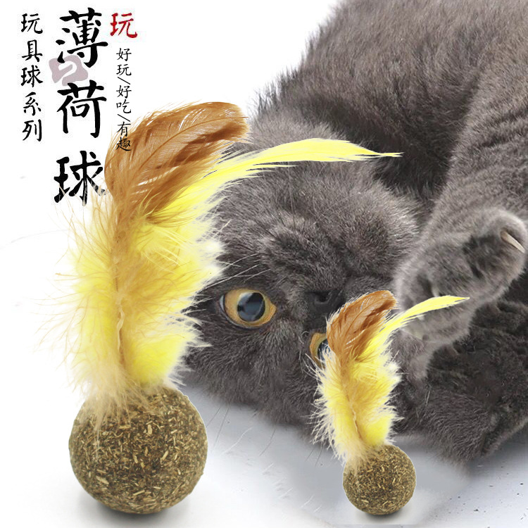 玩具磨牙催吐猫薄荷球