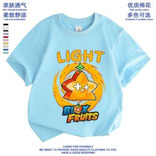 童装 t恤纯棉夏季 儿童上衣roblox果实盒子 fruits衣服男童短袖 blox
