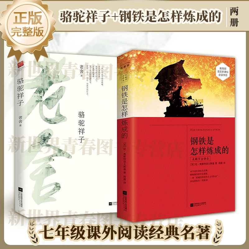骆驼祥子钢铁是怎样炼成的七年级