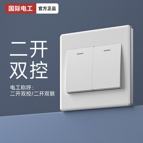 国际电工全塑小按键面板开关插座