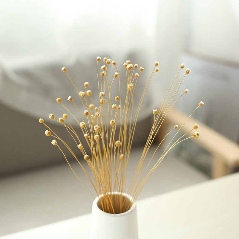 花瓶干花花束插花客厅摆设装饰