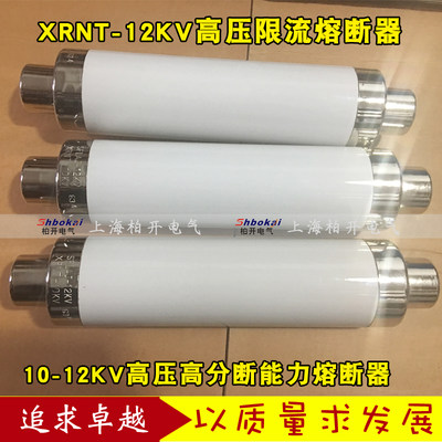 SDLAJ XRNT-50-125A高分断能力高压限流熔断器10-12KV 76*360mm