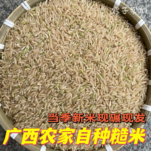 广西长粒糙米2026年新米晚稻新米农家新鲜现磨辅食杂粮胚芽糙米