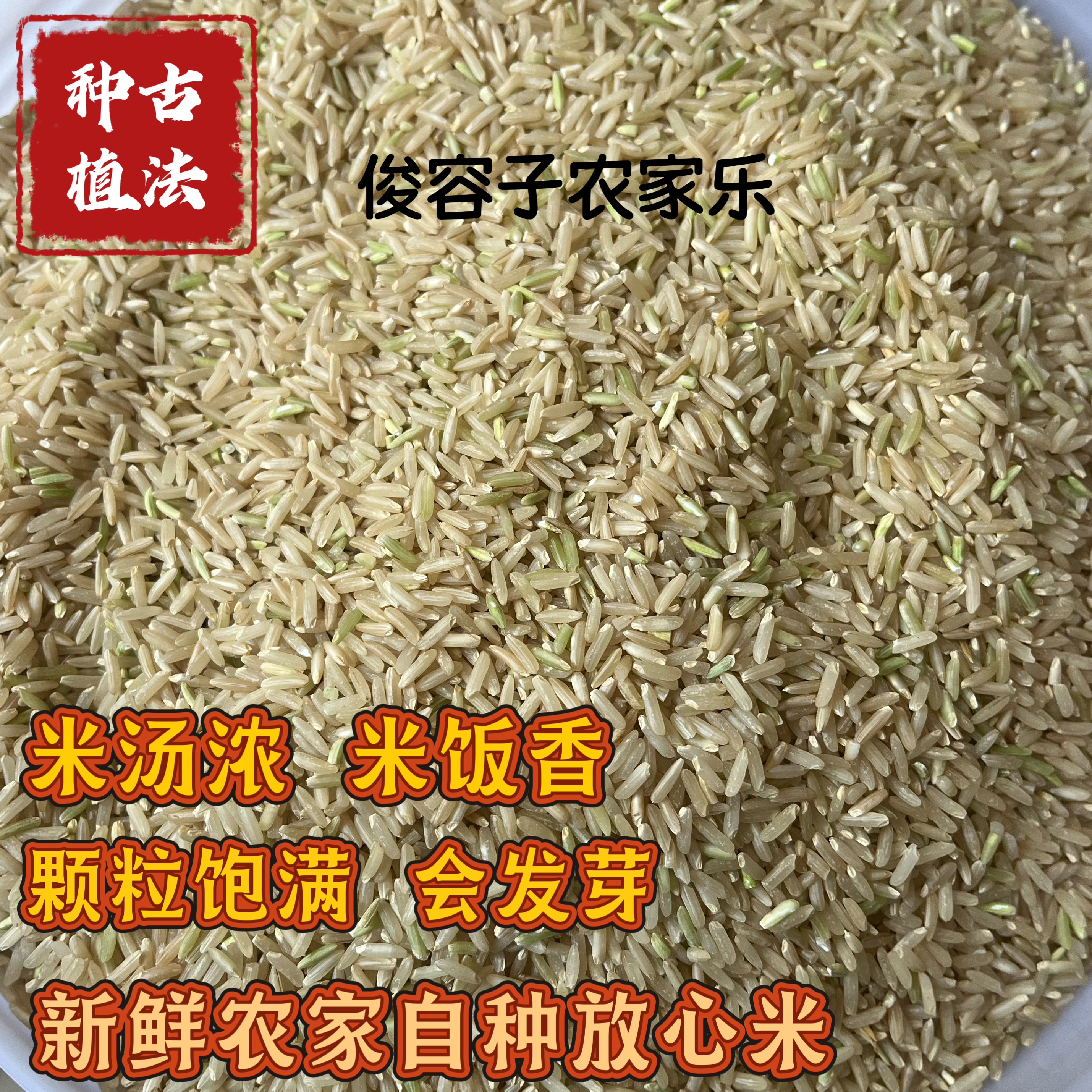 广西农家自种新糙米2026年新晚稻新鲜现磨辅食杂粮粗胚芽长粒糙米