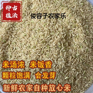 广西农家自种新糙米2025年新米晚稻新鲜现磨辅食杂粮胚芽长粒糙米