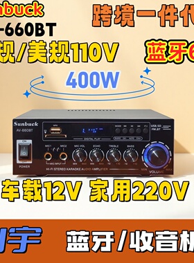 山宇AV660BT蓝牙功放400W车载12V放大机220V家用110V欧规美规跨境