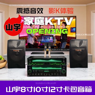 专业卡拉OK卡包一对音箱