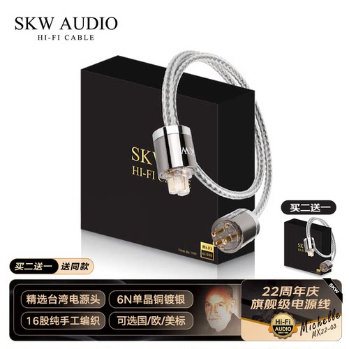 SKW高端发烧镀银电源线美标国标