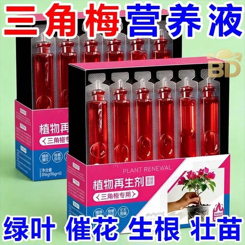 三角梅植物再生剂免稀释营养液绿植花卉盆栽水溶肥料家庭园艺肥