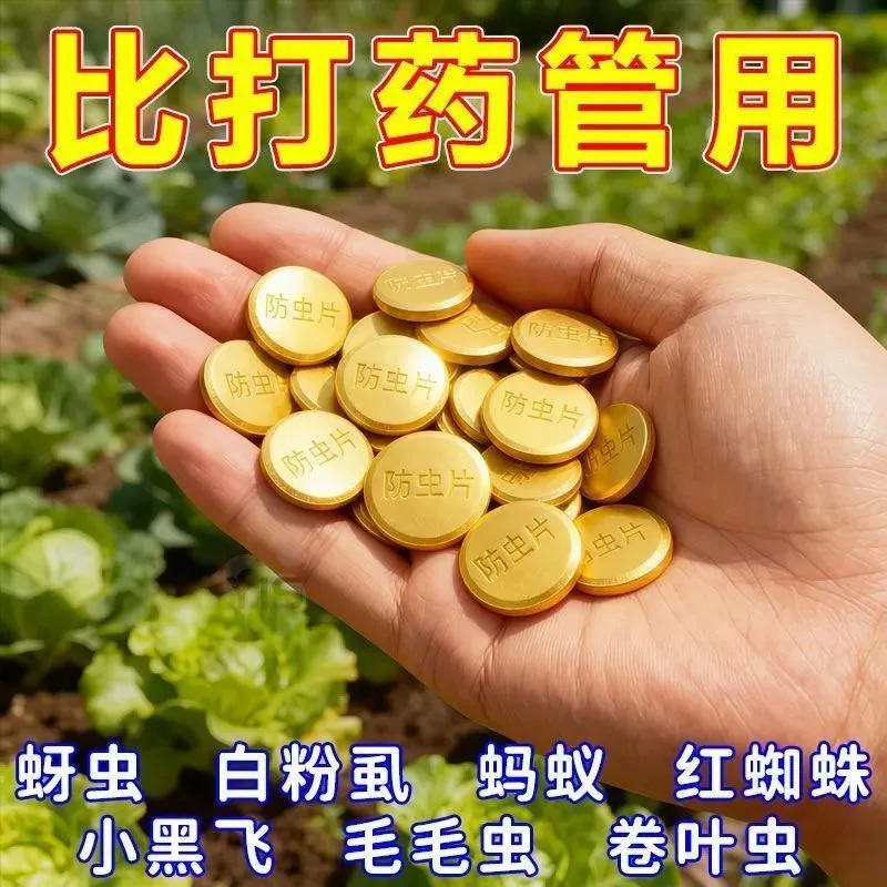 园艺防虫片驱虫除蓟马糖化硼肥片盆栽果花卉植物防烂根土壤调理剂