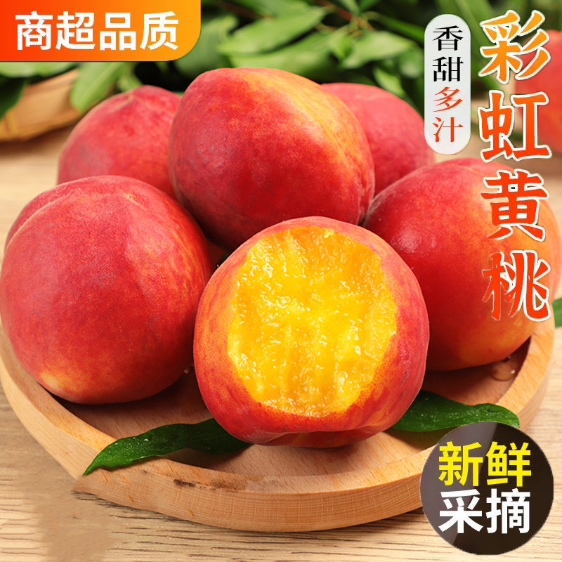 露天彩虹黄桃新鲜现摘水果当季桃子脆香甜黄金蜜桃整箱5斤