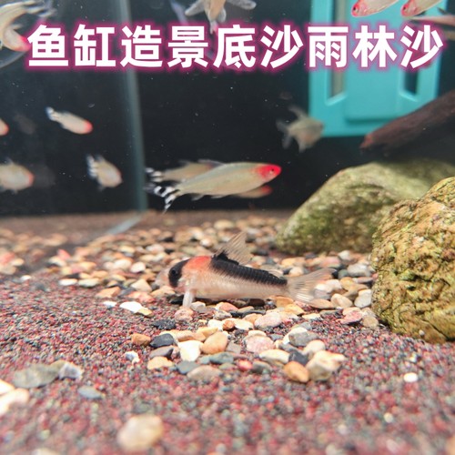 青灰红色雨林沙发色好源美颜色多