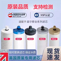 英国道尔顿原装陶瓷净水器滤芯M12M10M15 25045504 9504 9204 KDF