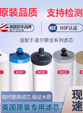 英国道尔顿原装陶瓷净水器滤芯M12M10M15 25045504 9504 9204 KDF