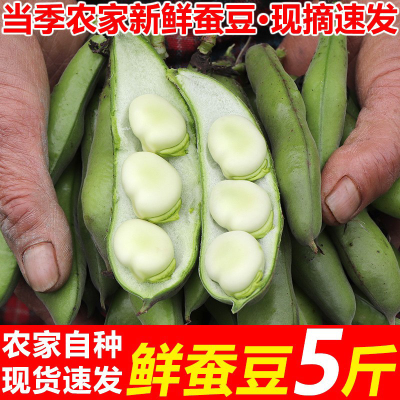 现摘当季新嫩鲜蚕豆胡豆时令新鲜蔬菜兰花豆荚时令罗汉倭豆,水产肉类/新鲜蔬果/熟食,其它,淘宝优惠券,粉丝福利购,淘宝优惠卷