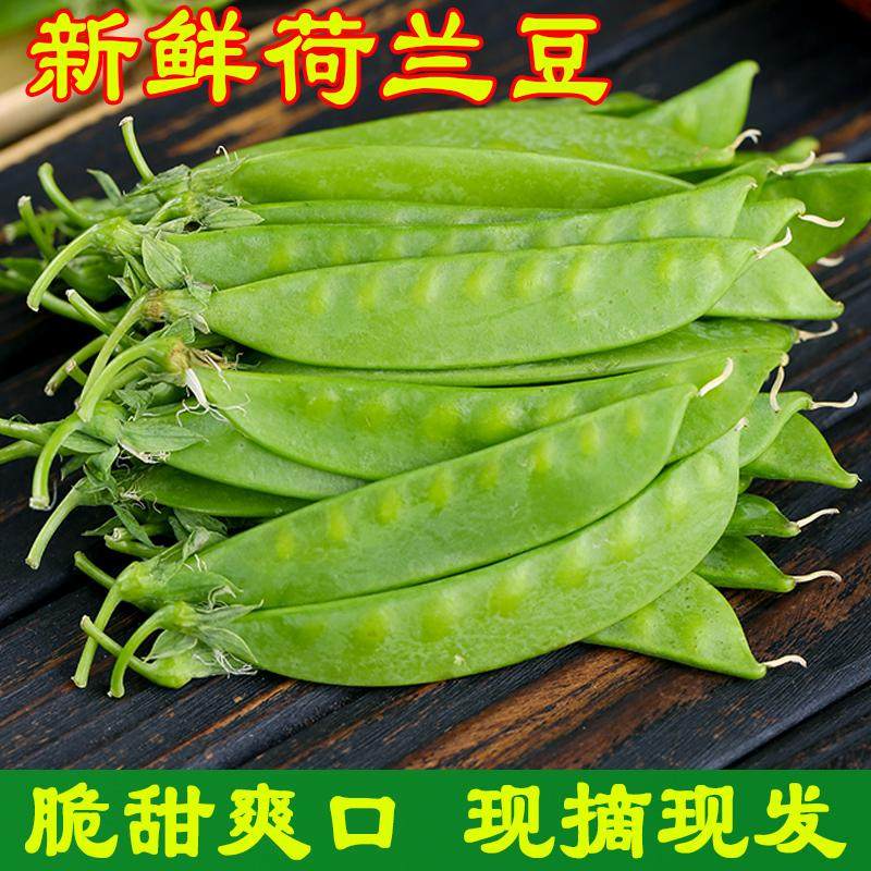 新鲜荷兰豆现摘现发甜豌豆荚农家自种当季脆豆角时令蔬菜,水产肉类/新鲜蔬果/熟食,新鲜豆类,淘宝优惠券,粉丝福利购,淘宝优惠卷