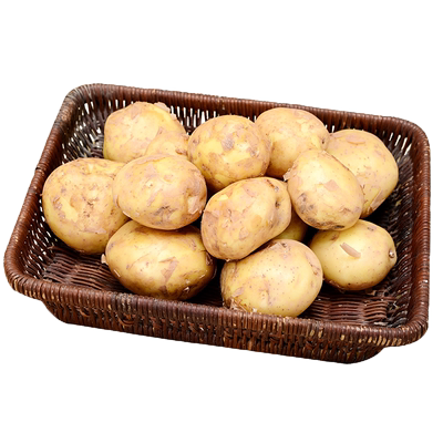 恩施富硒种植小土豆中等大当季