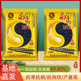 四川杂交油菜种子南马1573油菜籽种秋季种植矮杆抗倒