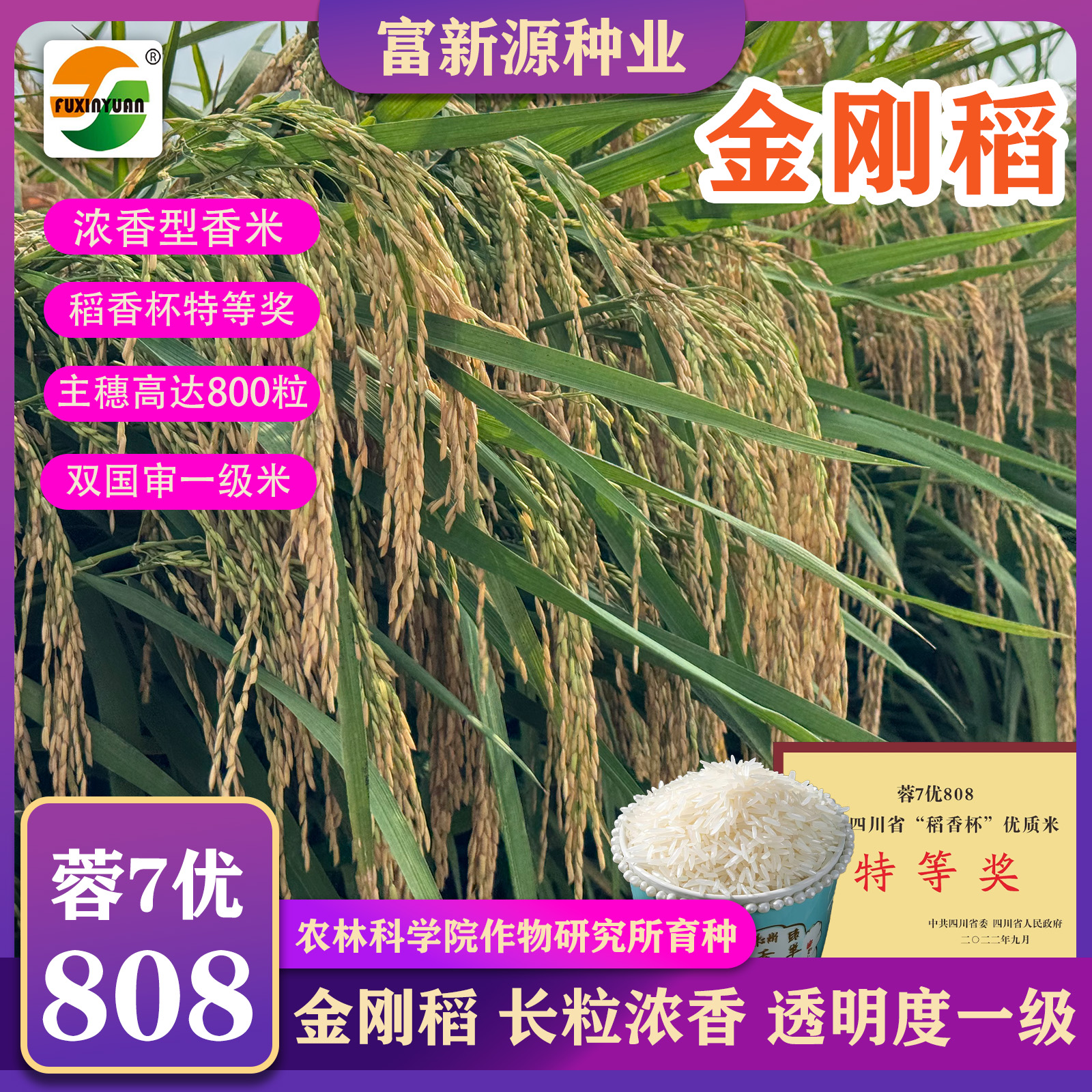 蓉7优808金刚稻双国审透明度一级米长粒浓香口感劲道优质水稻种子