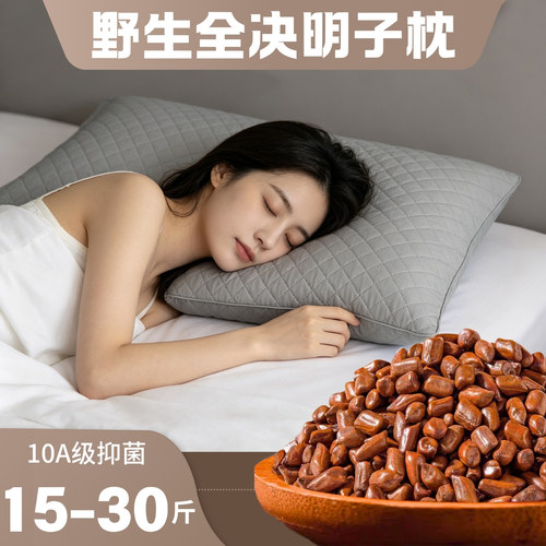 全决明子枕头防螨抗菌纯枕芯大号