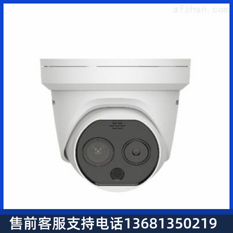 【全新正品保障】海康热成像半球摄像机DS-2TD12