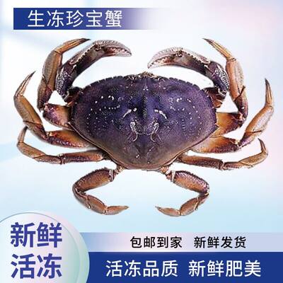 活冻珍宝蟹梭子蟹面包蟹