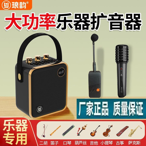琅韵D91户外乐器音箱拾音器古筝古琴二胡专用无线扩音器蓝牙音响