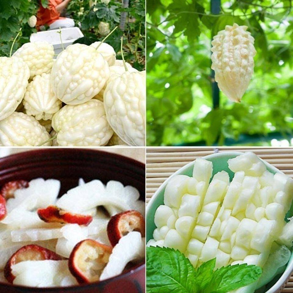 新鲜台湾苹果苦瓜白玉苦瓜水果苦其它