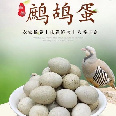新鲜鹧鸪蛋30枚农家飞龙蛋纯散养竹鸡蛋咕咕鸡可孵化种蛋