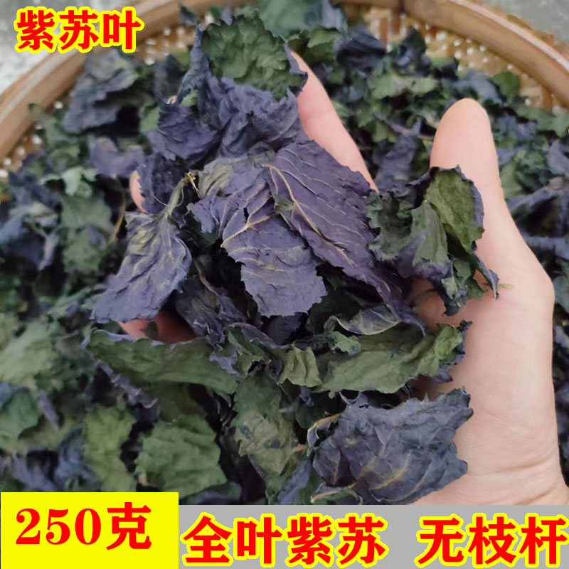 新货农家食用紫苏叶 香紫苏叶干天然苏子粉叶干货烧鱼虾蟹去腥250