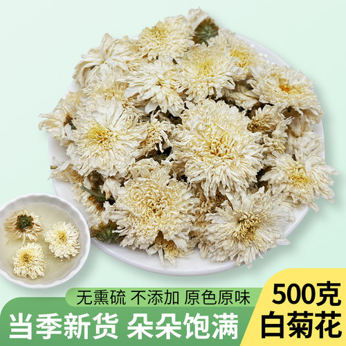 白菊花茶500g黄山白菊花茶