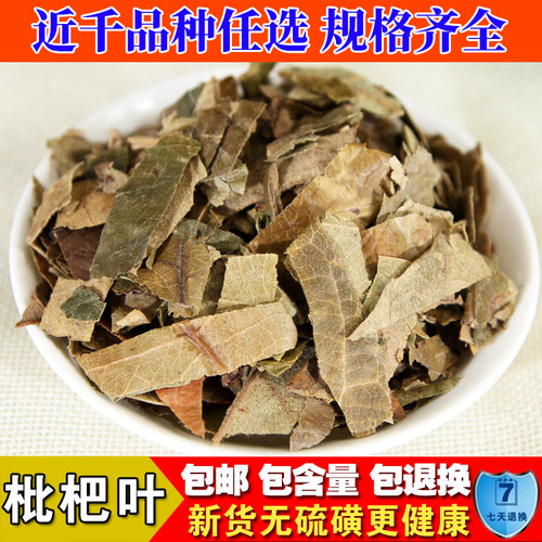 野生新鲜琵琶叶中药材包邮