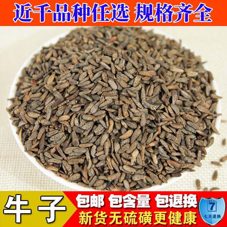 野生中药材牛子 牛蒡子 大力子  鼠黏子 恶实 黍粘子 毛然然子