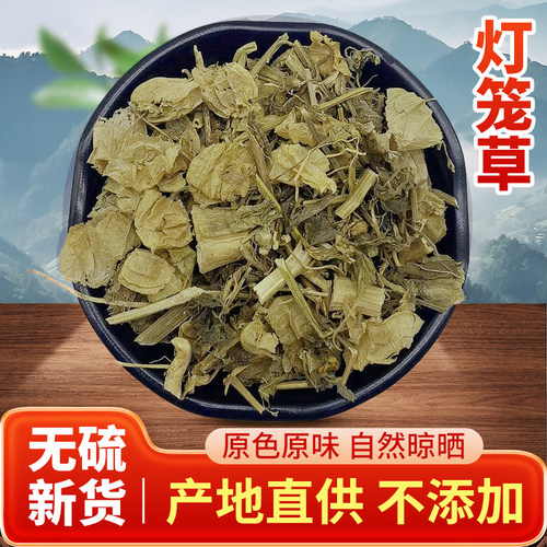 野生草泡天500克包邮中药材