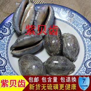 中药材紫贝齿 天然 砑螺 文贝 紫贝齿 南蛇牙齿 狗支螺500克包邮