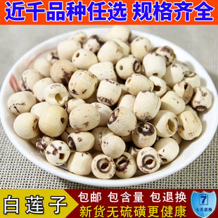 新鲜磨皮白莲子干货 费煲粥 500克 无芯 大粒湘莲子 白莲子 免邮 去芯