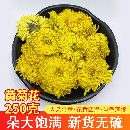 菊花茶250g黄菊花茶贡菊皇菊