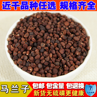 中药材马兰子500g新货马蔺子马兰子庵闾子马莲子马楝子马帚子包邮