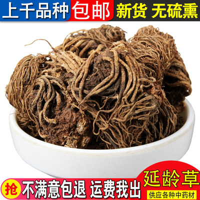 珠秦岭草250克七儿非500克中药材