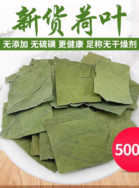 中药材新鲜荷叶无硫天然方片 荷叶茶荷叶 干荷叶片完整无碎500克g