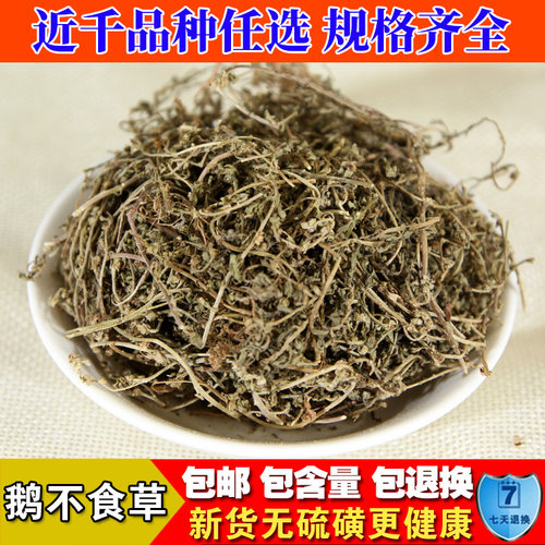 野生中药材鹅不食草包邮