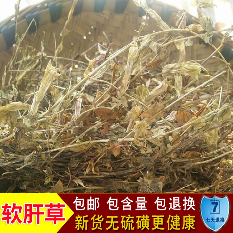 精选中药材 软肝草 铁甲草 500克 包邮 小青鱼胆 青叶胆