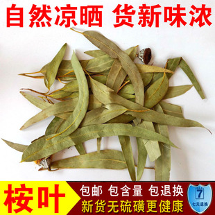 中药材 桉树叶 桉叶 大叶桉 按树叶 橡树叶 蓝绿桉叶 500克包邮